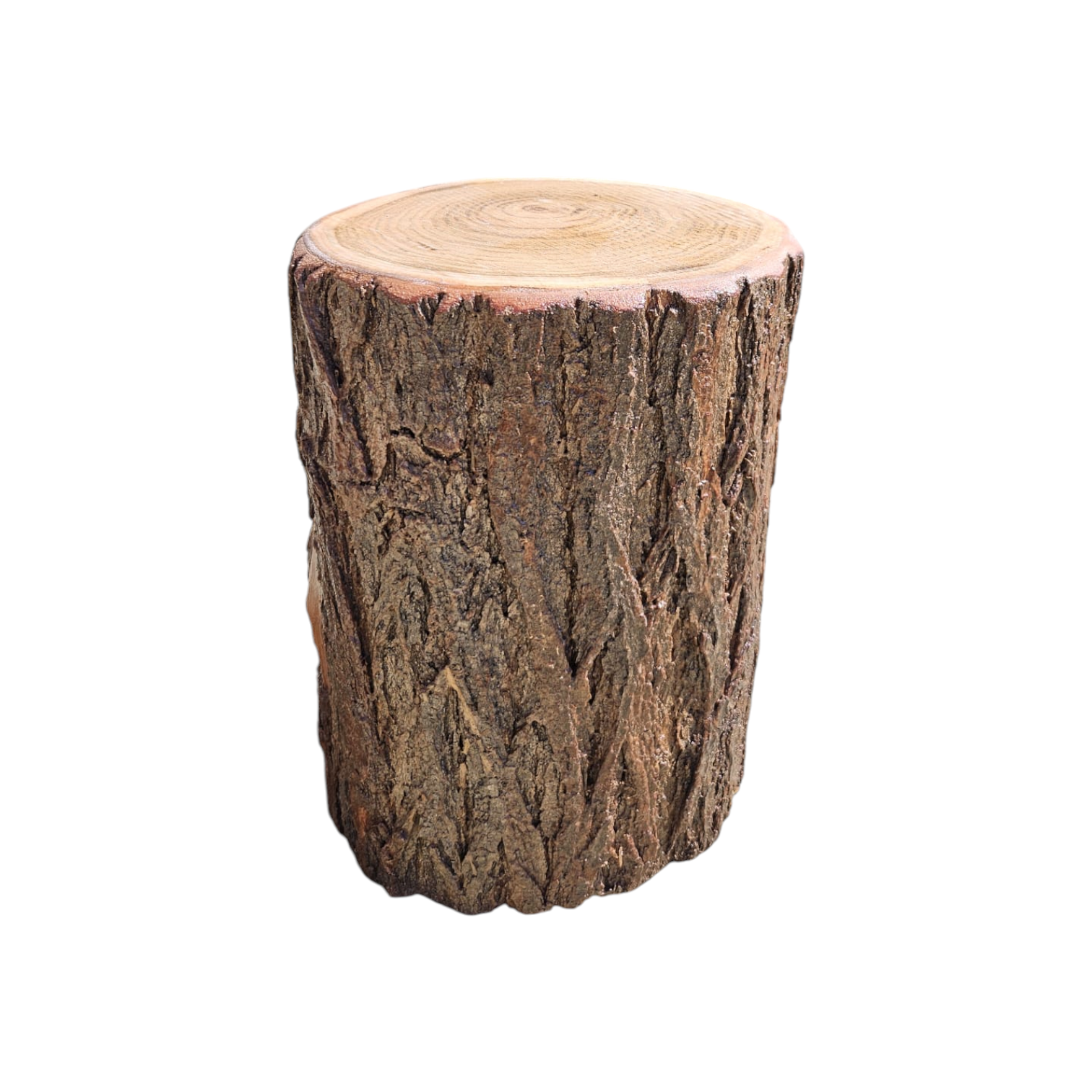 Circuito equilibrio natural - troncos verticales