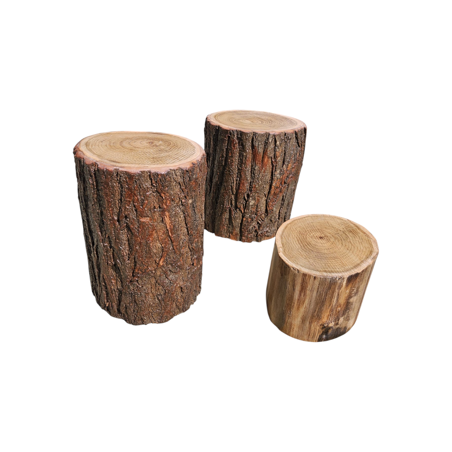 Circuito equilibrio natural - troncos verticales
