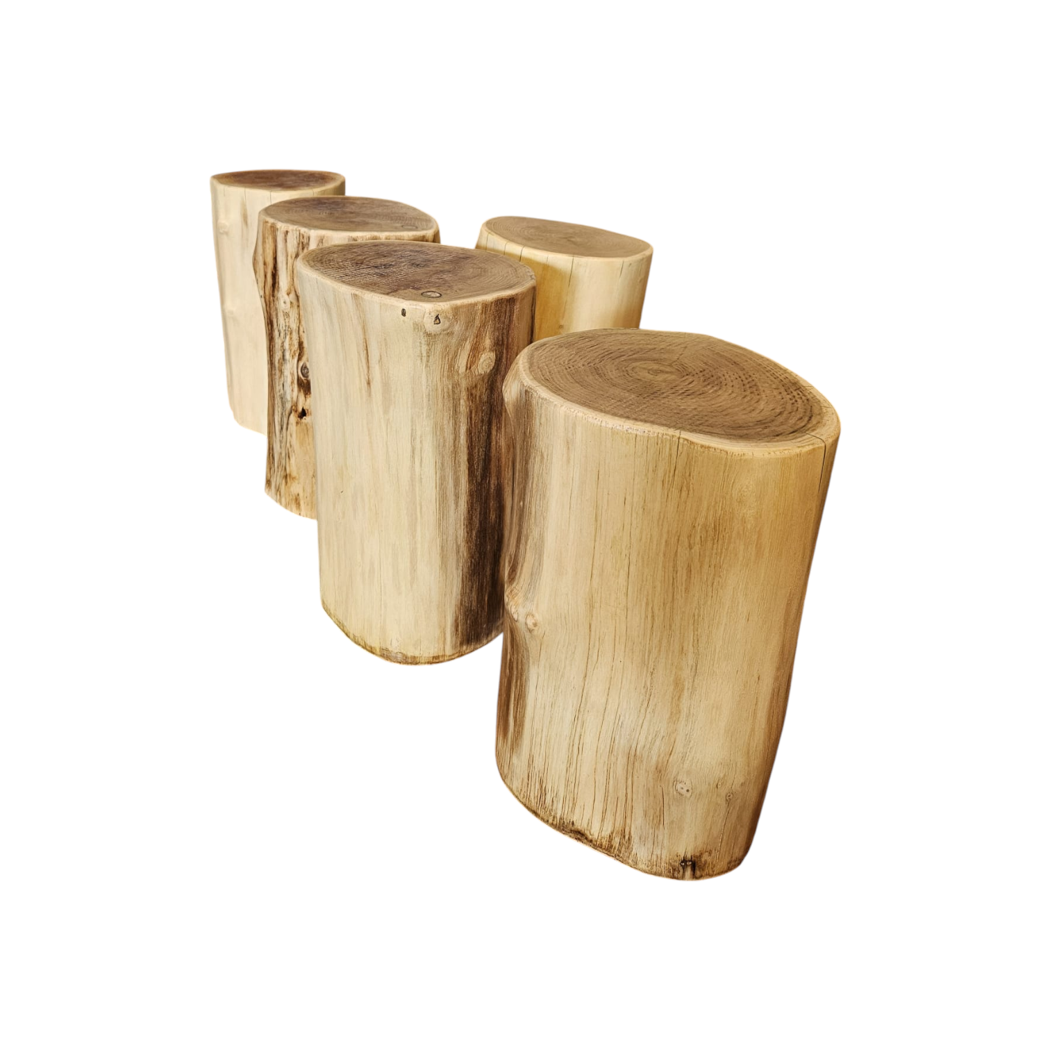 Circuito equilibrio natural - troncos verticales