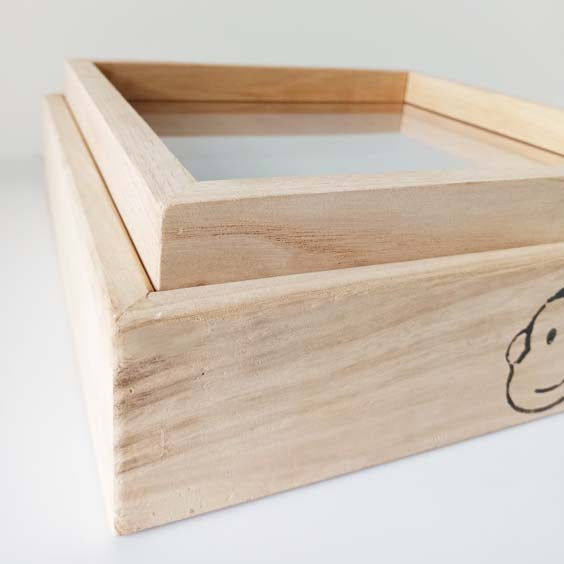 Ventana de experimentación
